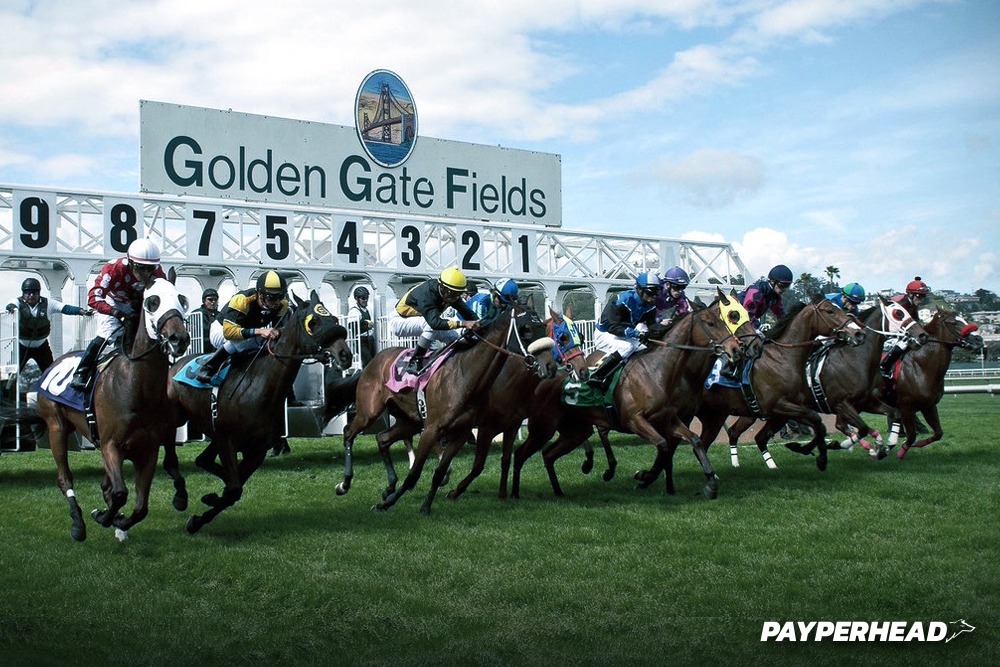 Horse Racing at Golden Gate Fields – GetPayPerHead®